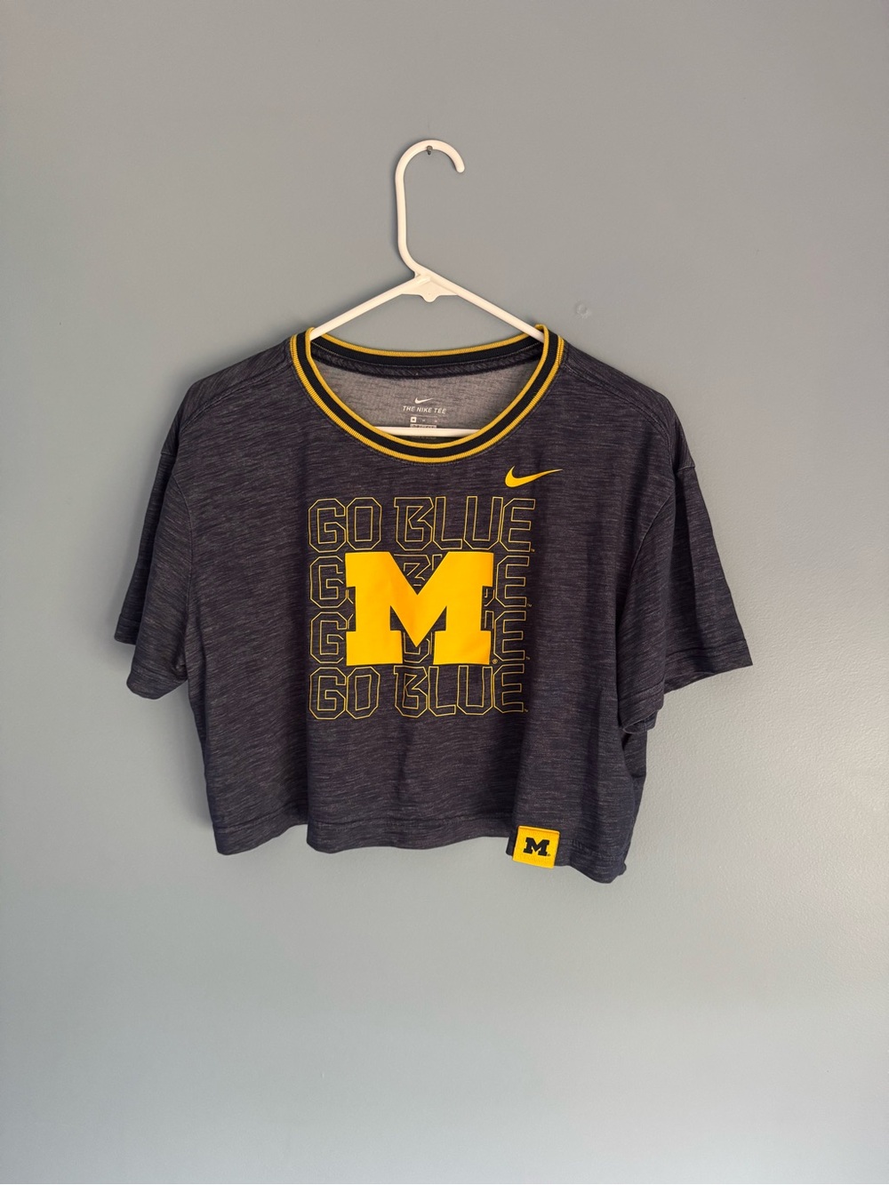 Nike M Michigan State Wolverines Crop Tee